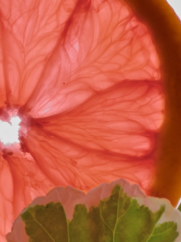 Close up of grapefruit