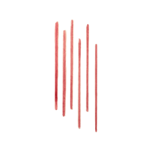 Lip Tint Liner עיפרון טינט להדגשת ומילוי שפתיים, Red Clay, 1 מ"ל